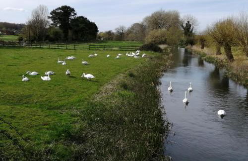 Bridge Farmhouse - Eight ensuite bedrooms - Foto 98