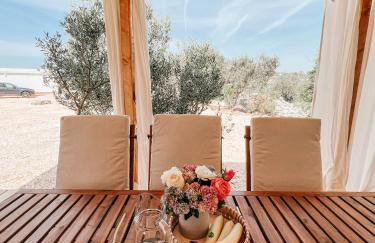 Diamond Coast Mobile Home - Photo 4