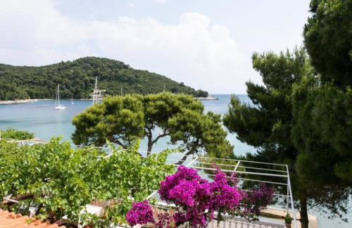 Apartmetns Franka Saplunara-One-Bedroom Apartment with Terrace and Sea View No2 - Foto 5