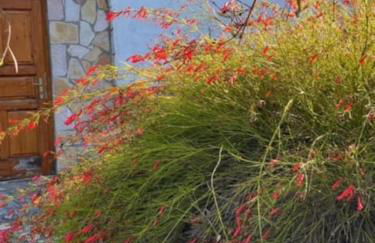 Haus mit Pool im Olivenhain - Foto 40