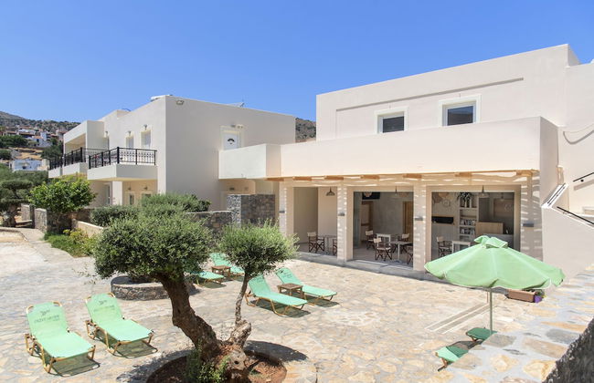 Olive Grove - Foto 27