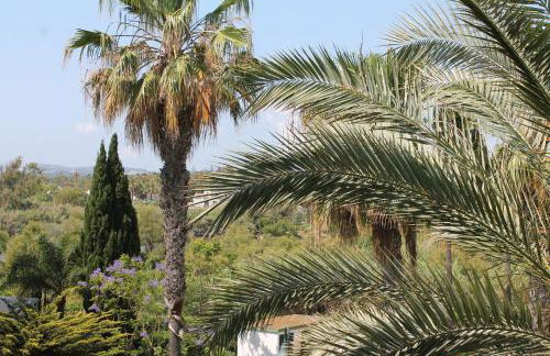 New view Sotogrande Marina - Jungla del Loro - Foto 14