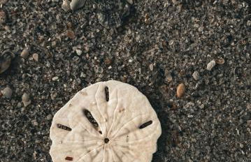 Blue Neptune at 5313 Sunset Avenue by Nautical Properties Vacation Rentals - Foto 67