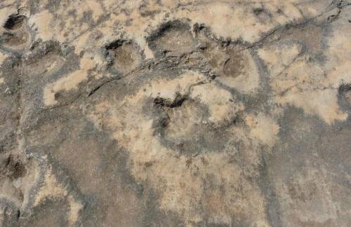 Anna, embrujo de la naturaleza - Foto 25