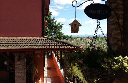 Traditional Guesthouse - Foto 66