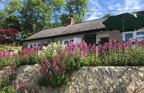 Tanyfron Llangrannog - Photo 19