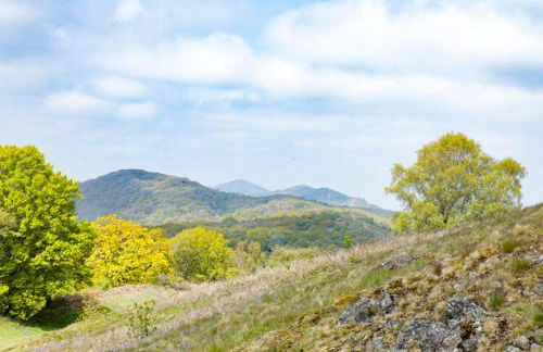 Little Hollows Glamping - Foto 54