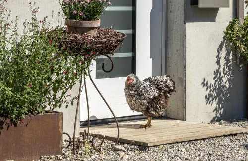 Ferienhof Mrowka - Photo 38