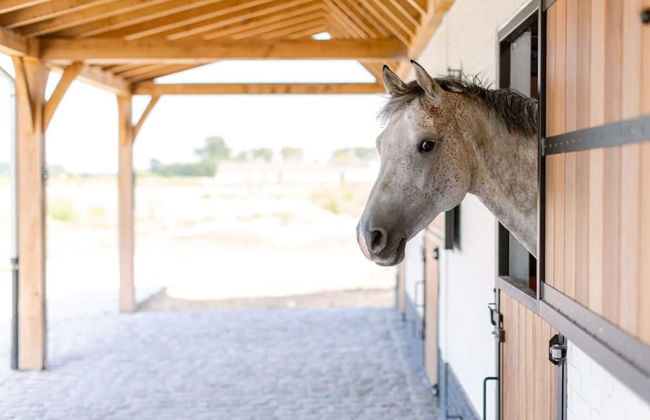 Lord - Double Room at Ranch De Blauwe Zaal - Photo 27