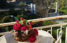 Nonna Nesti - Foto 23