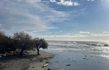 Casa del cardinale - Foto 73