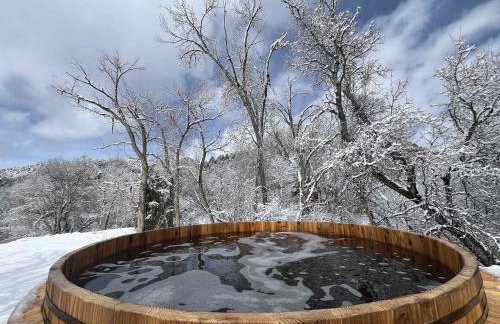 The Blue Jay at Zen Zion - Photo 3