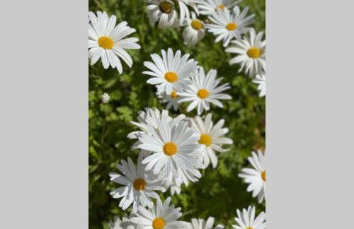 Casa Mar Blau - mediterranean house - Foto 36