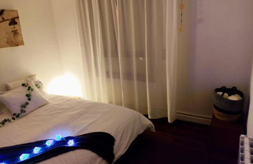 Don Divino - Photo 16