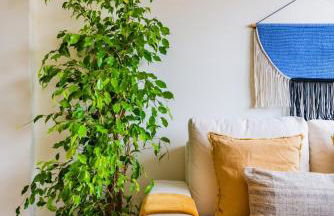 Cascais Modern & Quiet Retreat - Photo 21