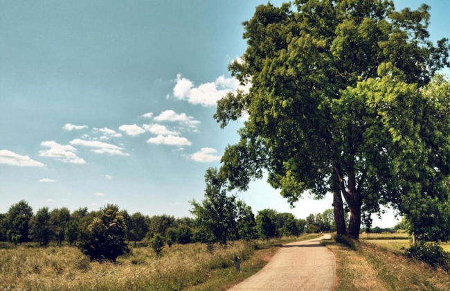 Apartment in Maasmechelen for 4 Person - Foto 37