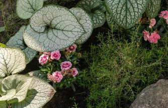 Baltiq Spot Rewa - Foto 43