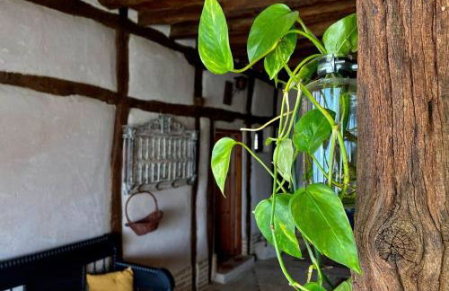 La Manzana - Photo 11