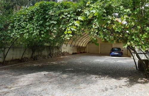 Majestic Manor in Valença with private pool - Foto 42