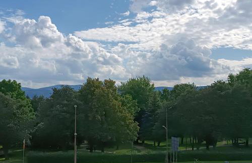 Lokal na Złotym - Foto 2