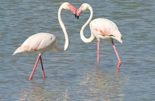 BEST LOCATION Apartamento en la mejor ubicación de Calp con parking - Foto 25