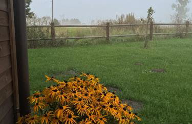 Przystanek Gałkowo - Foto 69