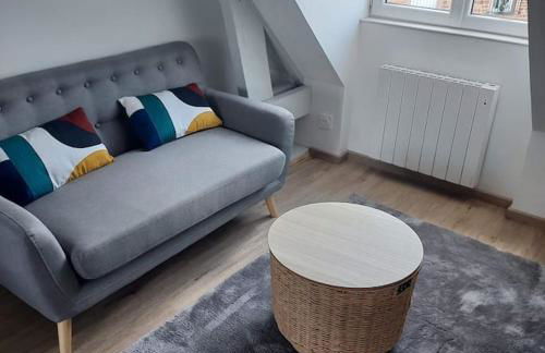 Bel appartement F2 hyper centre refait à neuf - Foto 2