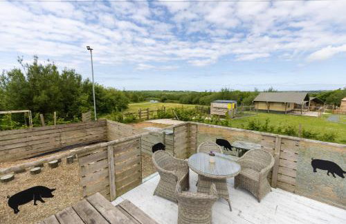 The Pig Arc - Foto 18