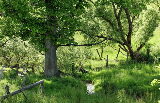 Vacation Home with Sauna - Photo 37