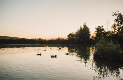 Domek nad Rozlewiskiem - Foto 8