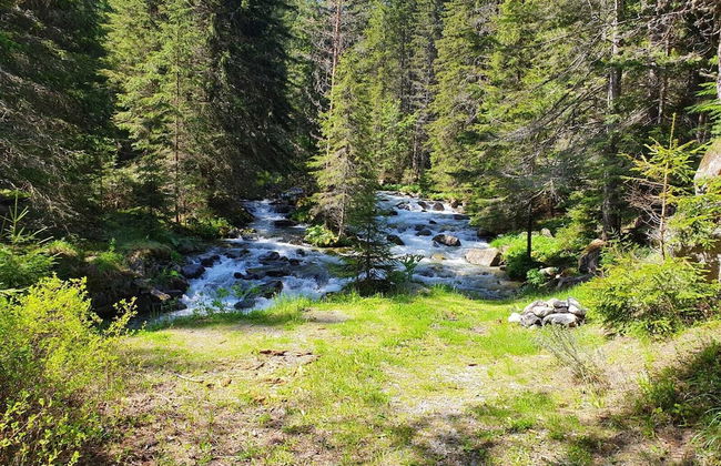 Monfort B - Photo 38