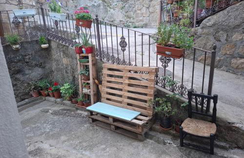 El portal de Beni - Foto 51