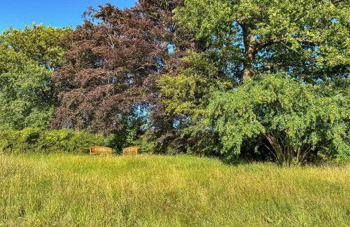 Beech Cottage - Uk49211 - Foto 13