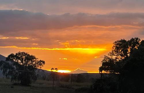 Le Ortensie in centro e vicino al mare - Foto 53