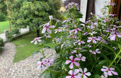 Residenza 38 - Foto 1