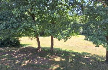 Ferienhaus an der Ölmühle - Foto 47