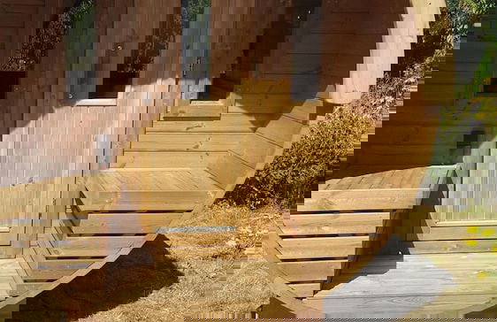 Charming Cottage With Sauna - Foto 11