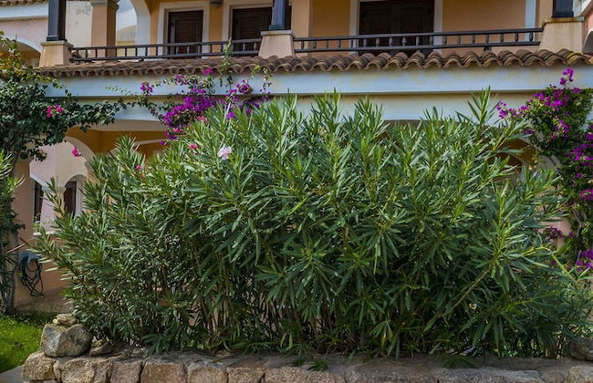 Pedra Rosa - Foto 66