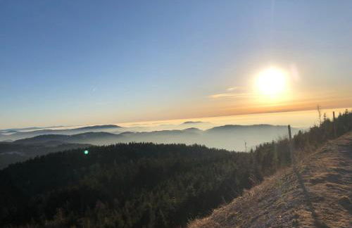 Ferienwohnung-Schoenmuenzblick-Urlaub-im-Nationalpark-Schwarzwald-Schwarzwald-Plus-inklusive - Photo 49