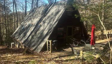 Bearly Behavin - Foto 2