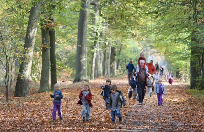 Tranquil Stay in Drenthe - Photo 29