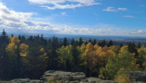 Gemütliche Ferienwohnung mit Sauna und Balkon im Zentrum von Bad Elster - Photo 4