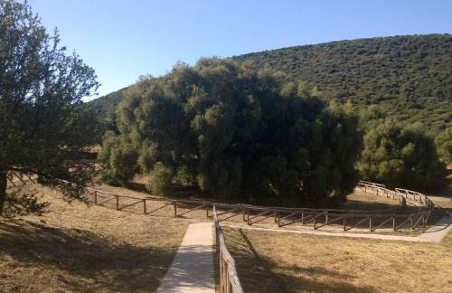 Casa in Gallura - Mare, Montagna, Escursioni - Foto 53