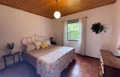 Casa Amaral - Photo 25