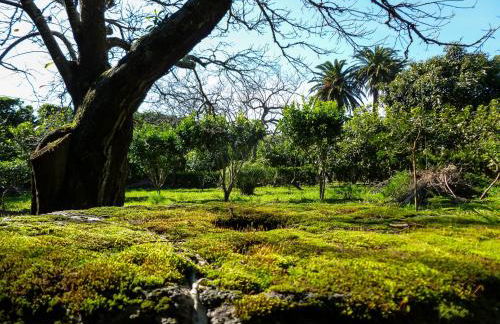Quinta do Espírito Santo - Photo 26