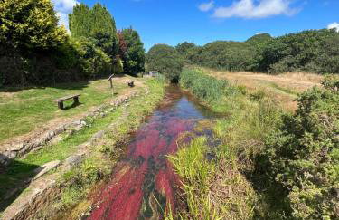 Gold 10 - Cornish Coastal Retreats - Photo 3