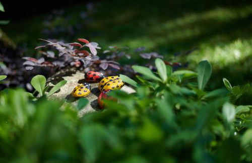 Residence Mariù - Foto 18