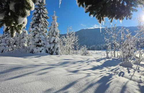 Nattersbergalm - Foto 54