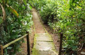 UBATUBA, SP - BRASIL - PRAIA DO FELIX - Casa do Aconchego - Foto 37