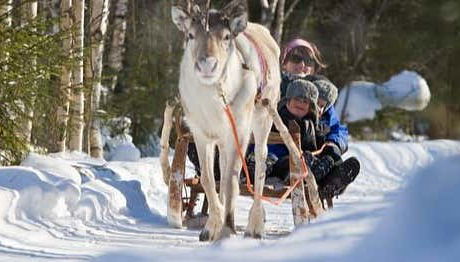 Giro in slitta trainata da renne